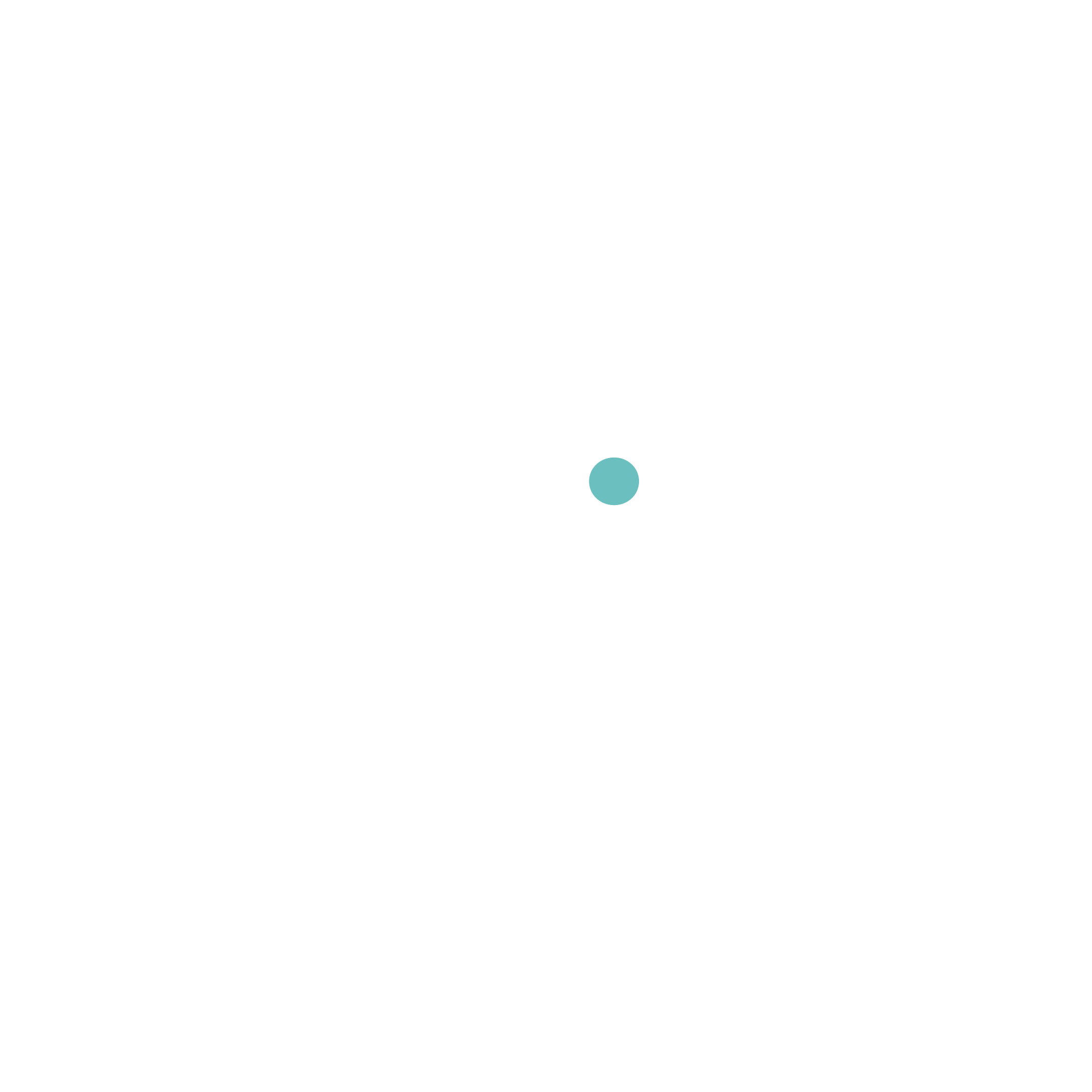 neo capital